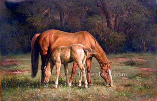 dw034fD animal horse Oil Paintings